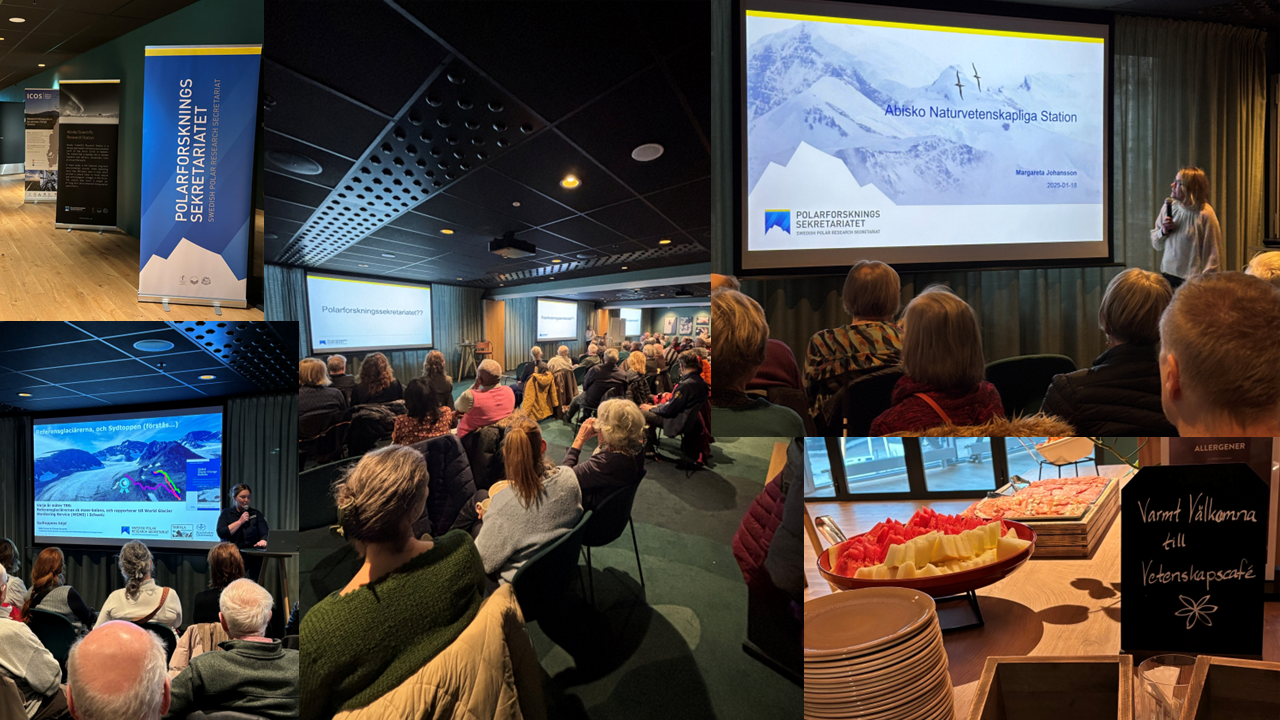 Mosaic of pictures from Scientific Cafe in Kiruna