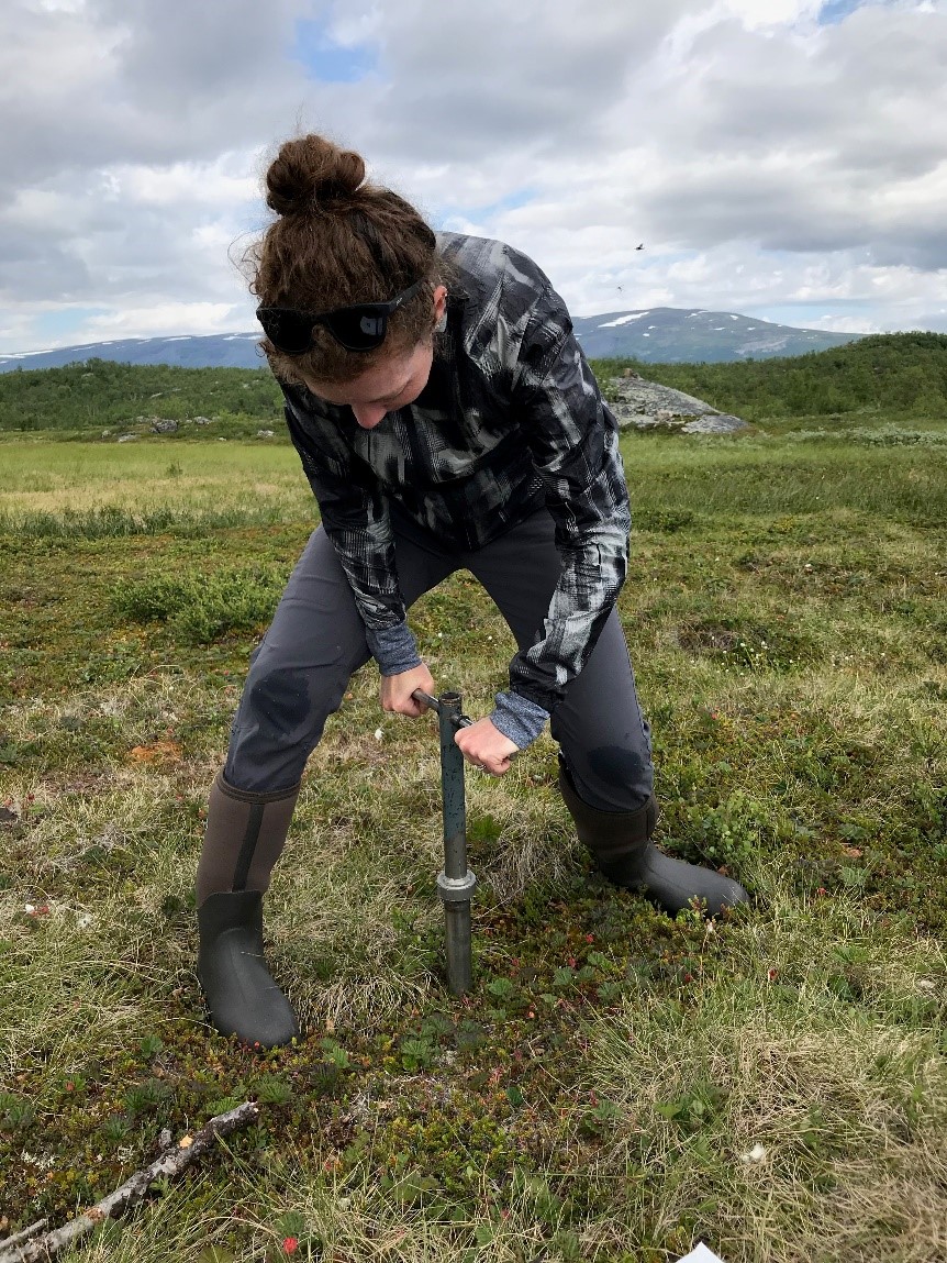 Dr. Elizabeth Herndon sampling a soil core using an auger