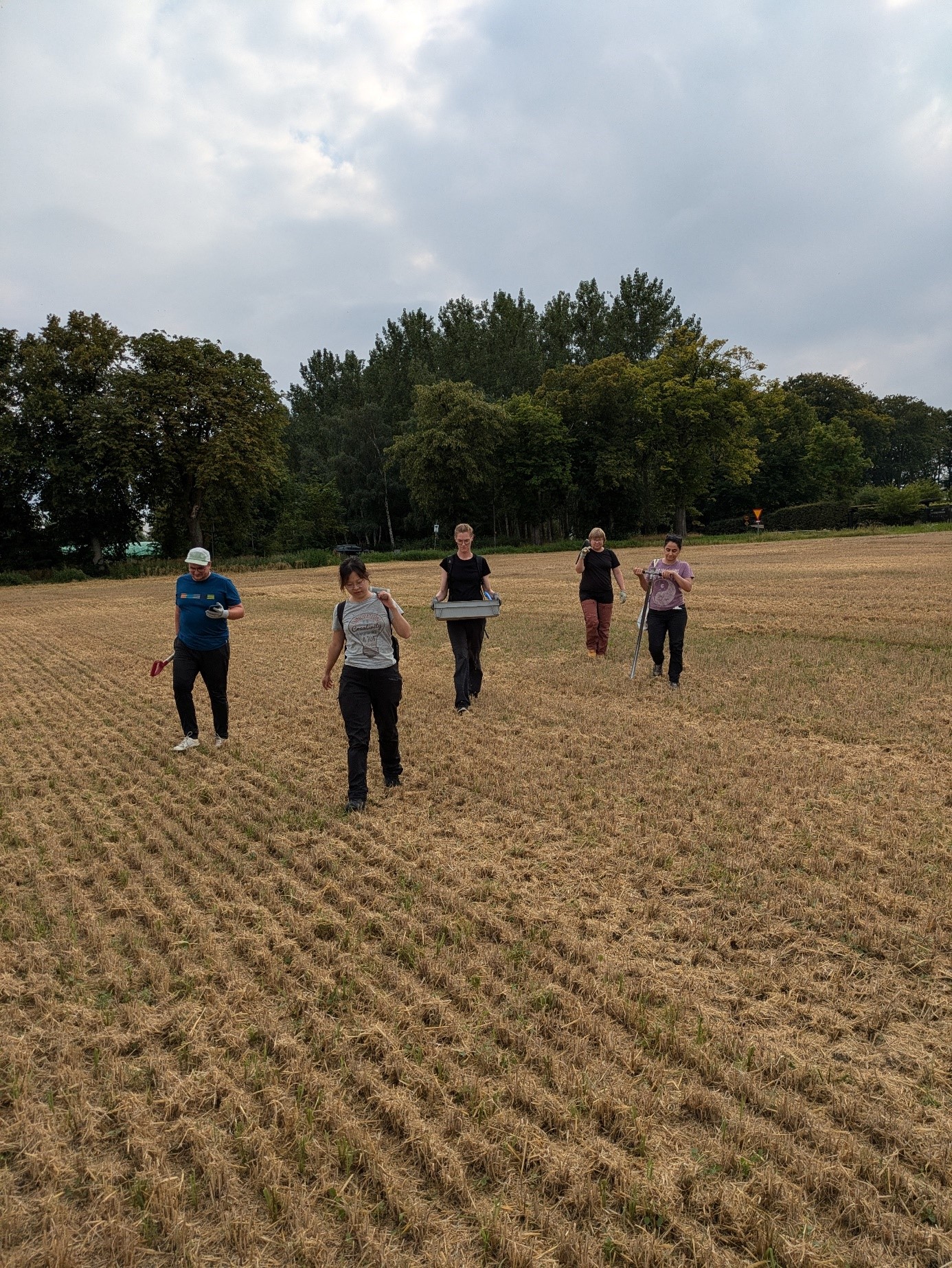 Group of researchers in an agricultural field at Lönnstorp research station are testing soil properties