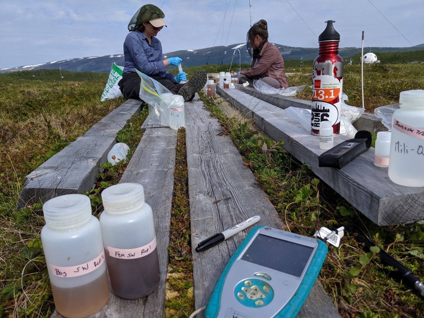 Sampling water at Stordalen Mire